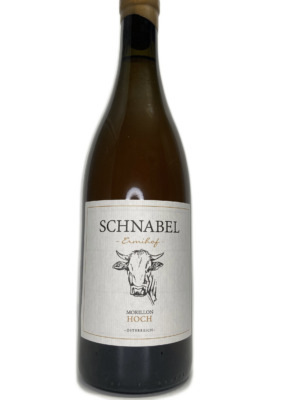 Schnabel- Hochegg 2021