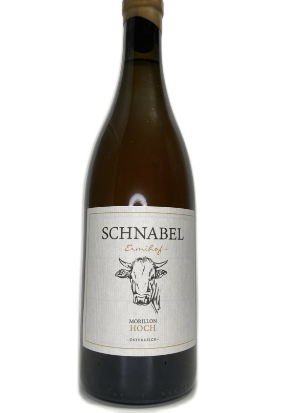 Schnabel- Hochegg 2021