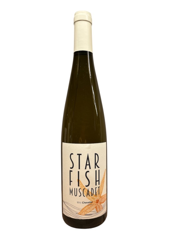 Chevalier - Star Fish 2023