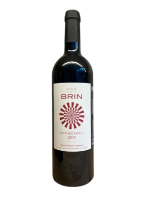 Brin - Anthocyanes 2019