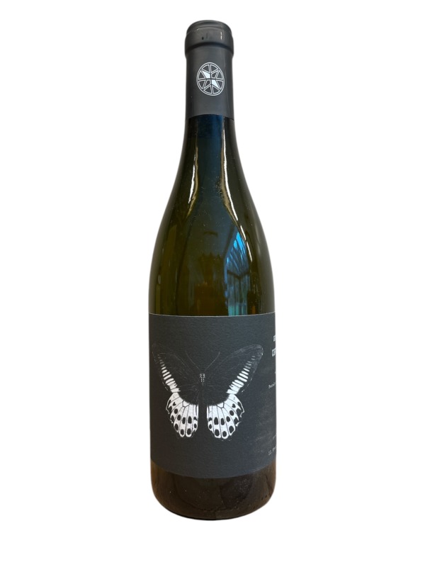 Ledogar - Carignan Blanc 2022