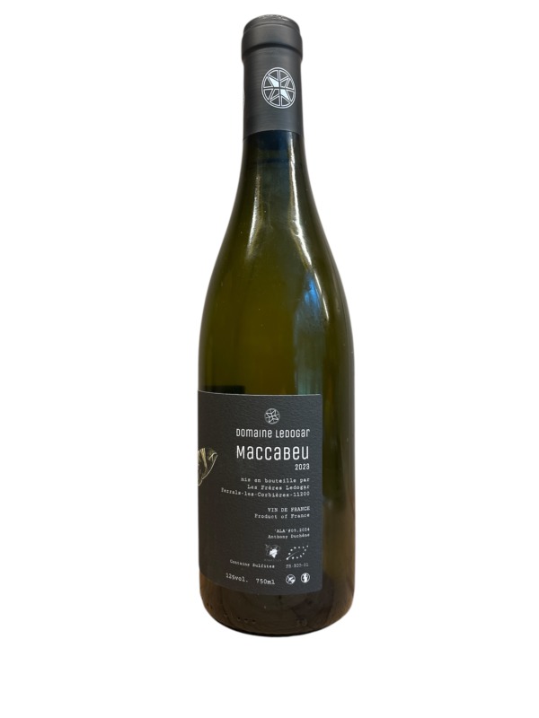Ledogar - Maccabeu 2023 – Image 2