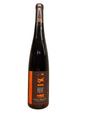 Bott-Geyl - Galets Oligocène 2019
